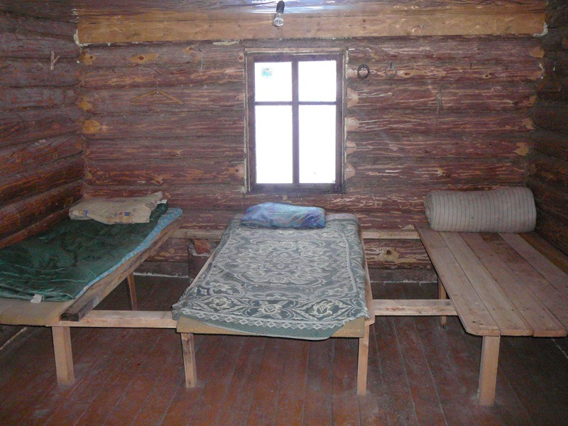 Oroszország, Kamcsatka, Jávorszarvas