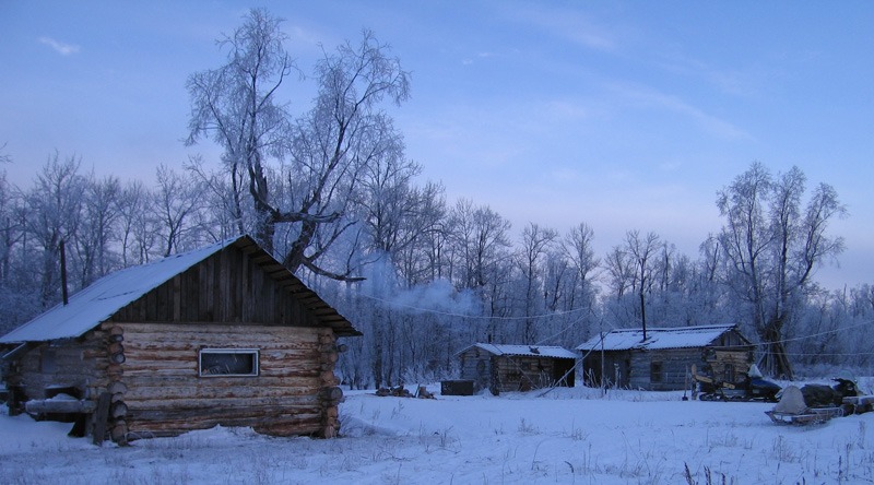 Oroszország, Kamcsatka, barnamedve