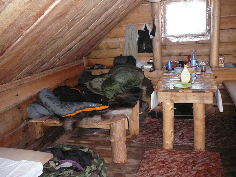 Oroszország, Kamcsatka, Jávorszarvas