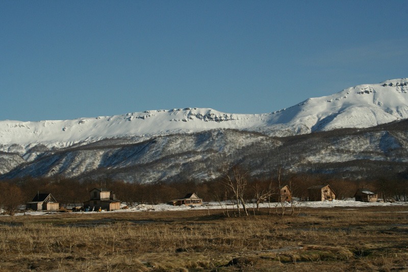 Oroszország, Kamcsatka, barnamedve