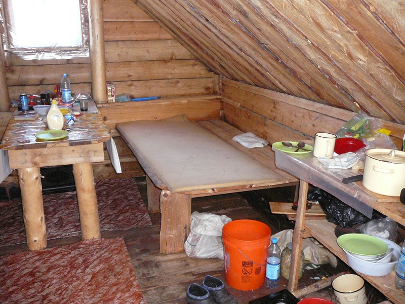 Oroszország, Kamcsatka, Jávorszarvas