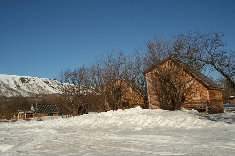 Oroszország, Kamcsatka, barnamedve