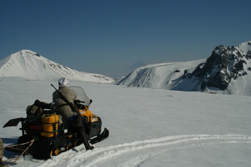 Oroszország, Kamcsatka, barnamedve