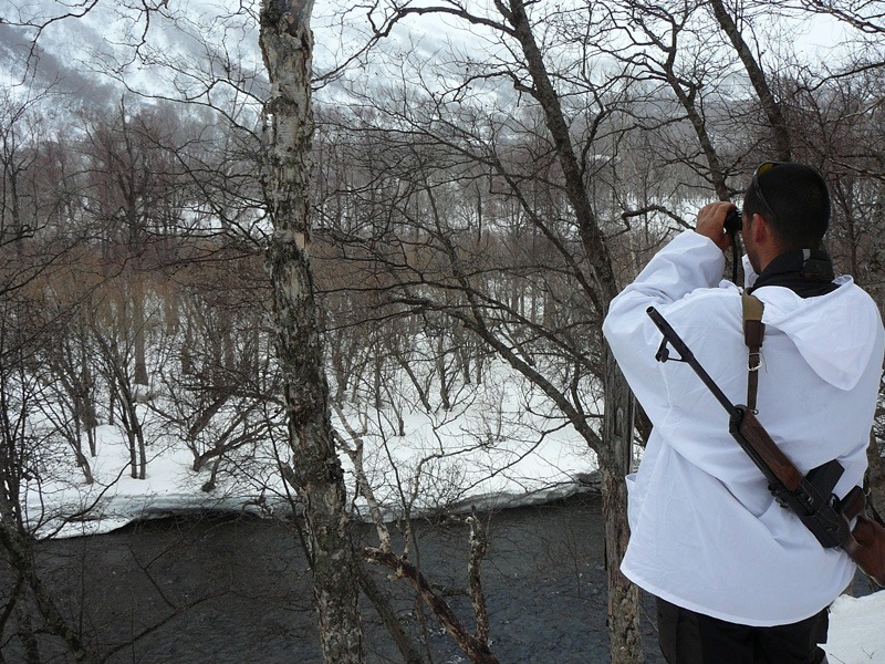 Oroszország, Kamcsatka, barnamedve