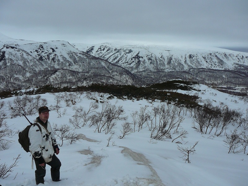 Oroszország, Kamcsatka, barnamedve