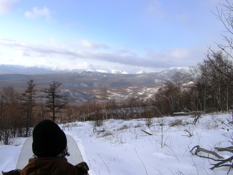 Oroszország, Kamcsatka, barnamedve