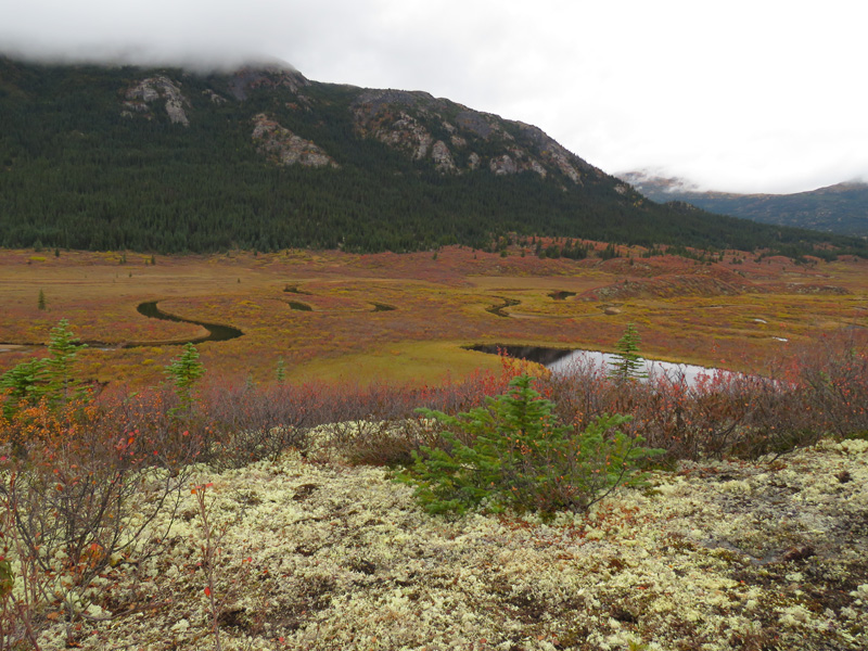 Kanada, British-Columbia, vadászat