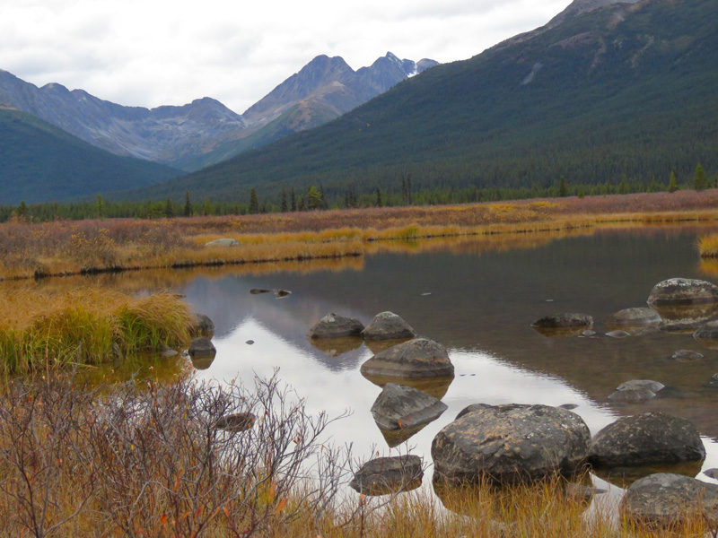 Kanada, British-Columbia, vadászat