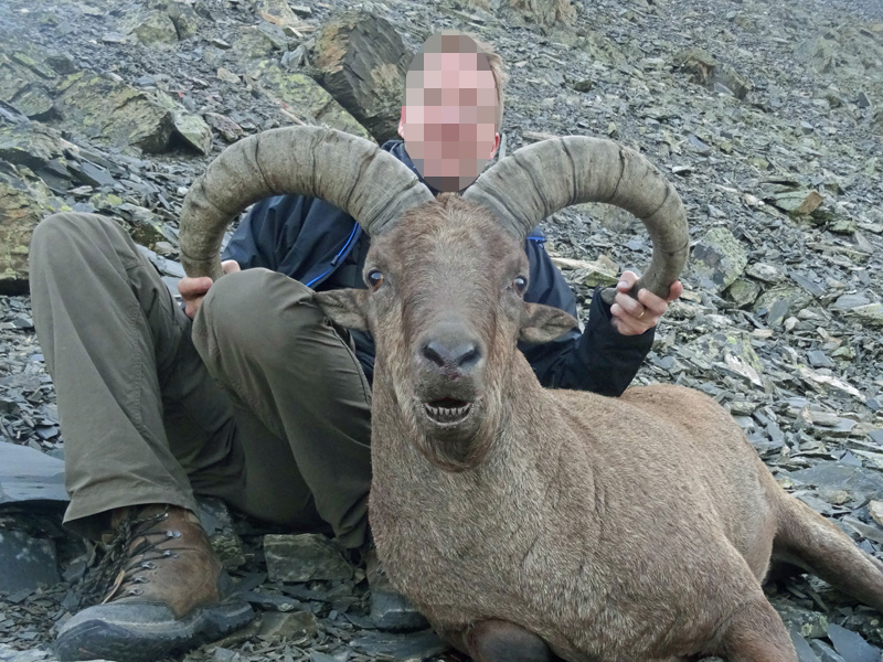 Oroszország, túr vadászat