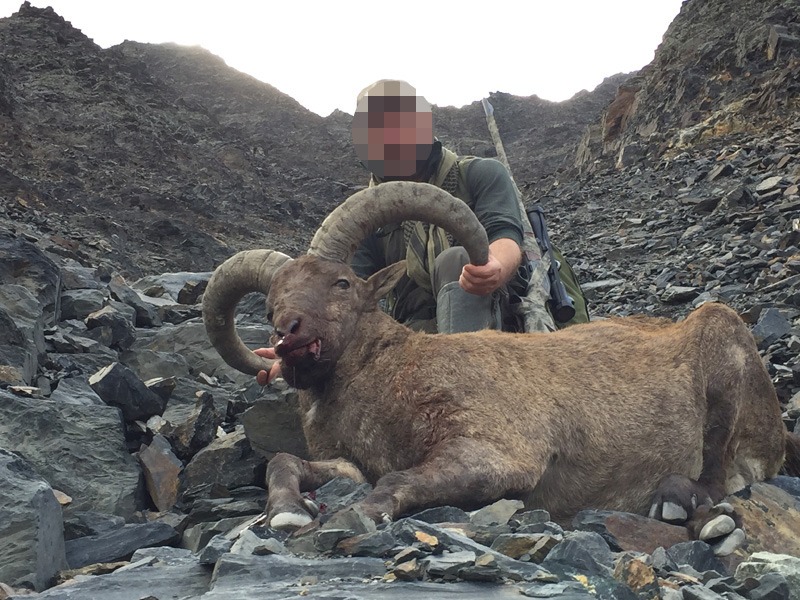 Oroszország, túr vadászat