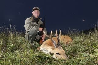 Oroszország, Szibériai őzbak, vadászat