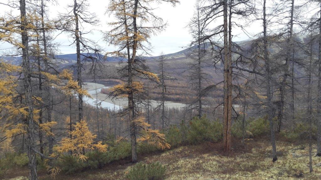 Oroszország, Magadan, jávorszarvas vadászat