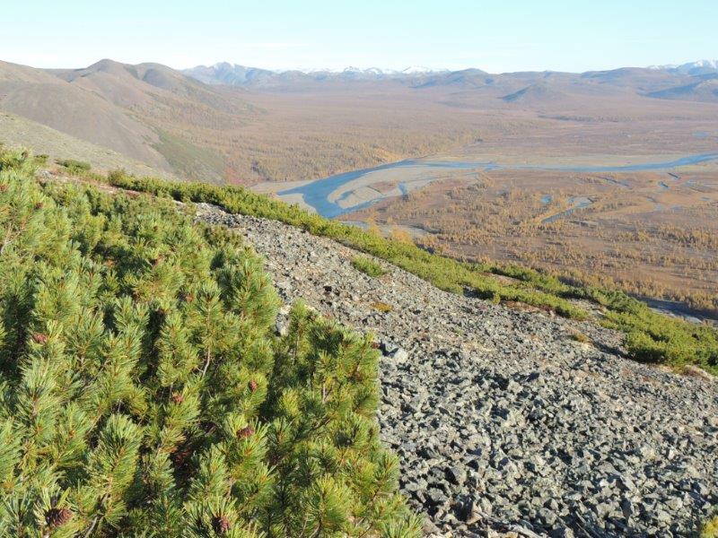 Oroszország, Magadan, jávorszarvas vadászat