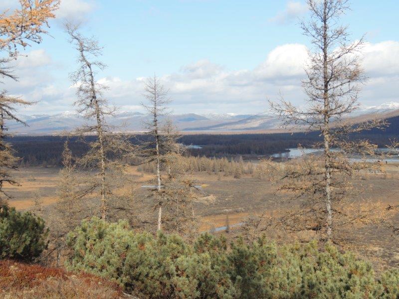 Oroszország, Magadan, jávorszarvas vadászat