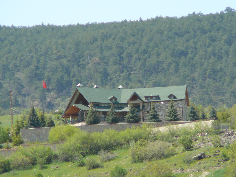 Törökország vaddisznó vadászat