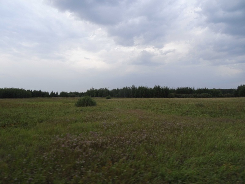 Vadászutak