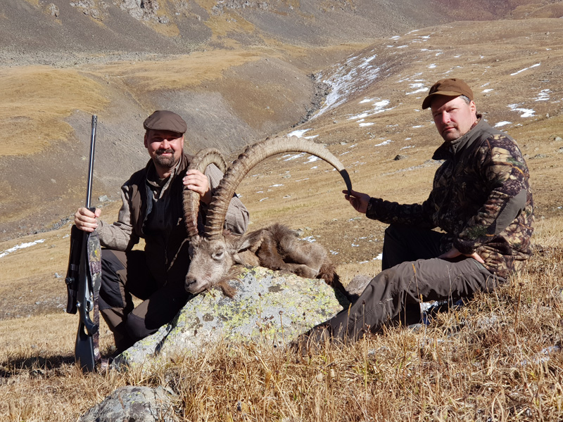 Kazahsztán kőszáli kecske