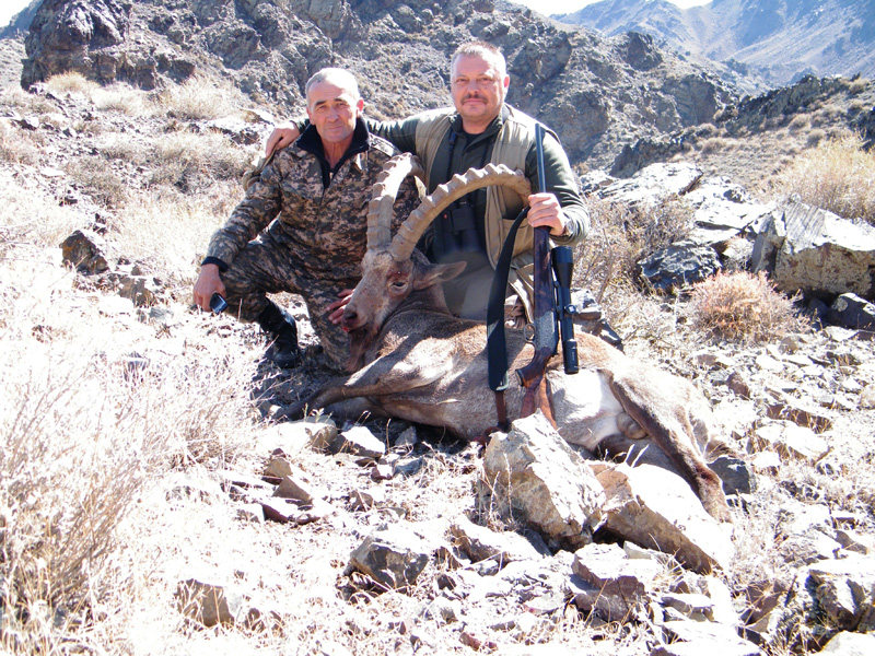 Kazahsztán kőszáli kecske