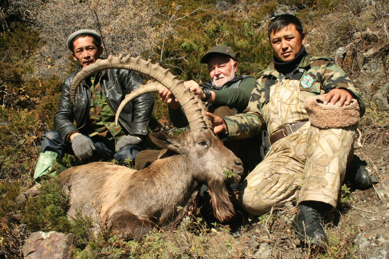 Kazahsztán kőszáli kecske