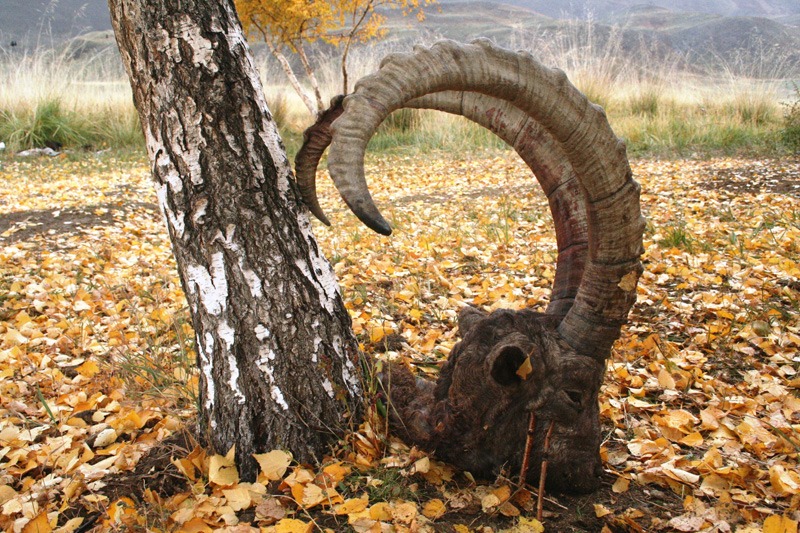 Vadászutak