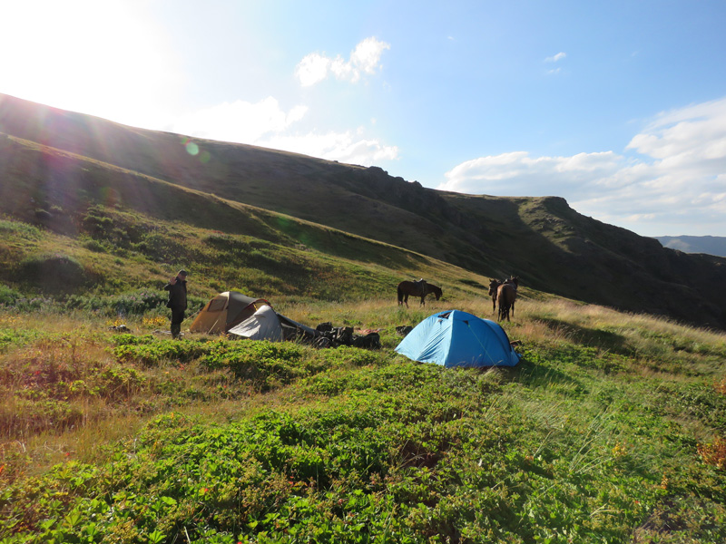 Kazahsztán, maral vadászat