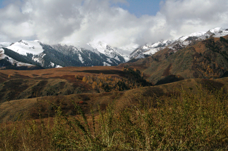 Kazahsztán, vadászterület, maral