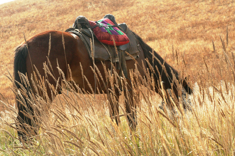 Kazahsztán, maral vadászat