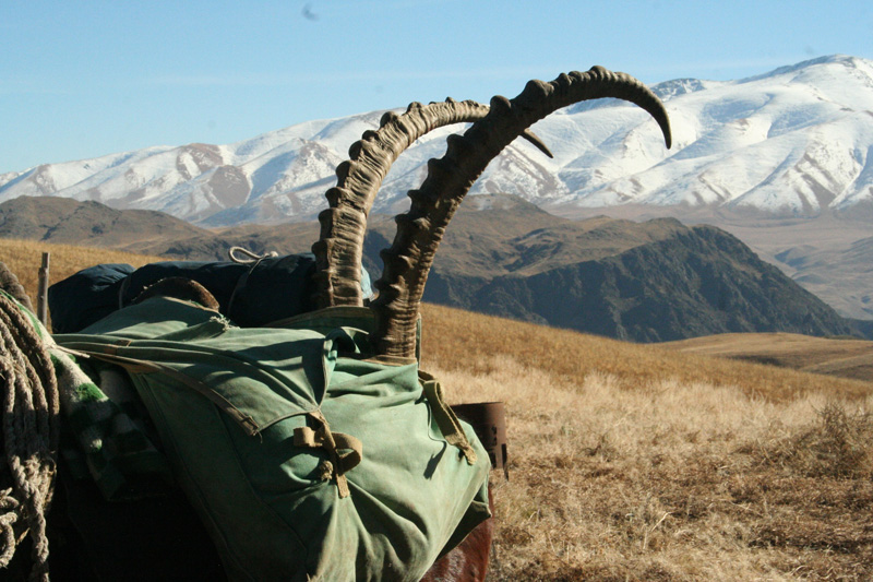 Kazahsztán, maral vadászat