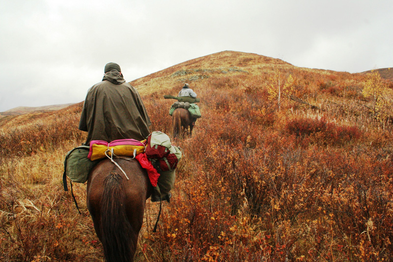 Kazahsztán, maral vadászat