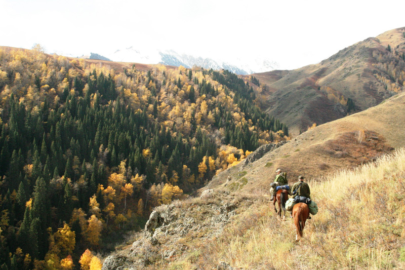 Kazahsztán, maral vadászat