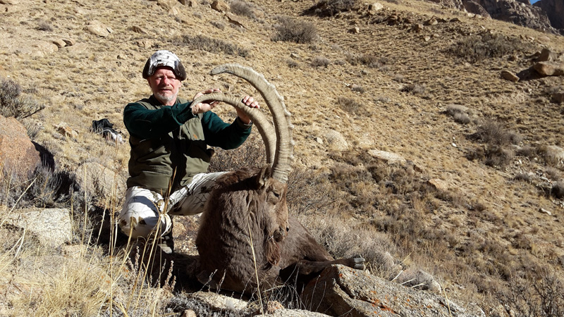 Kirgizisztán Kőszáli kecske