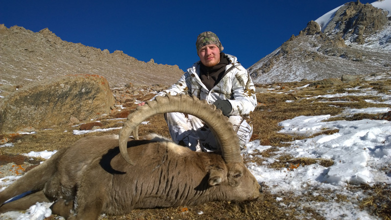 Kirgizisztán Kőszáli kecske