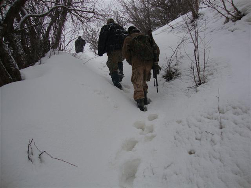 Tádzsikisztán, vaddisznó, vadkan vadászat