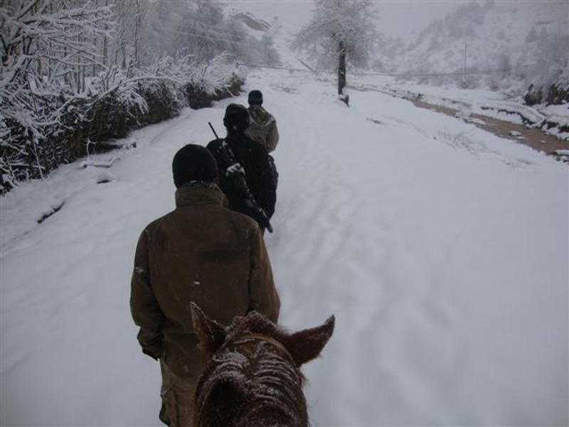 Tádzsikisztán, vaddisznó, vadkan vadászat
