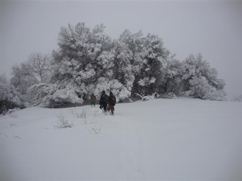 Tádzsikisztán, vaddisznó, vadkan vadászat