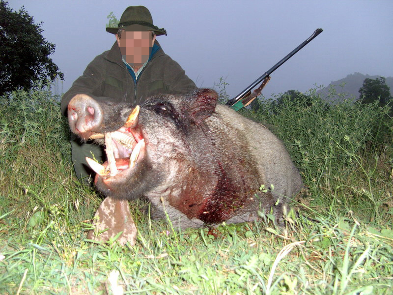 Tádzsikisztán, vaddisznó, vadkan vadászat