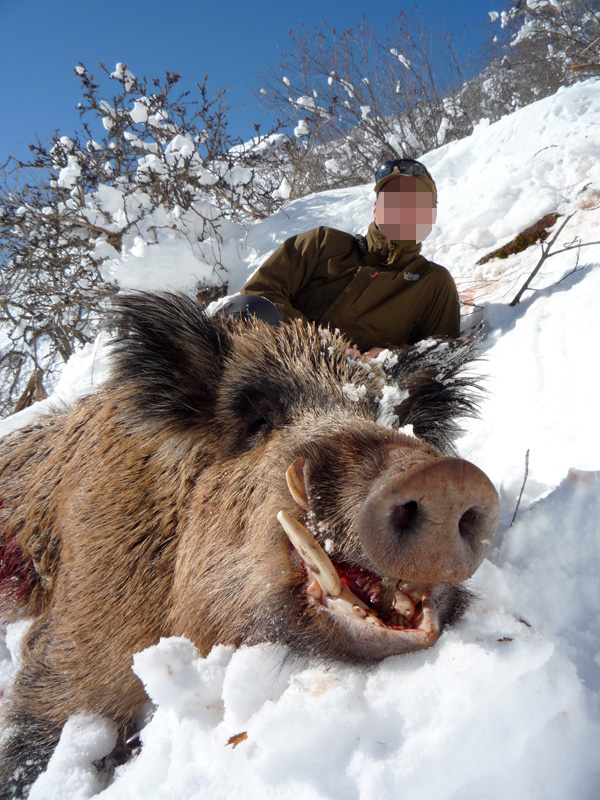 Tádzsikisztán, vaddisznó, vadkan vadászat