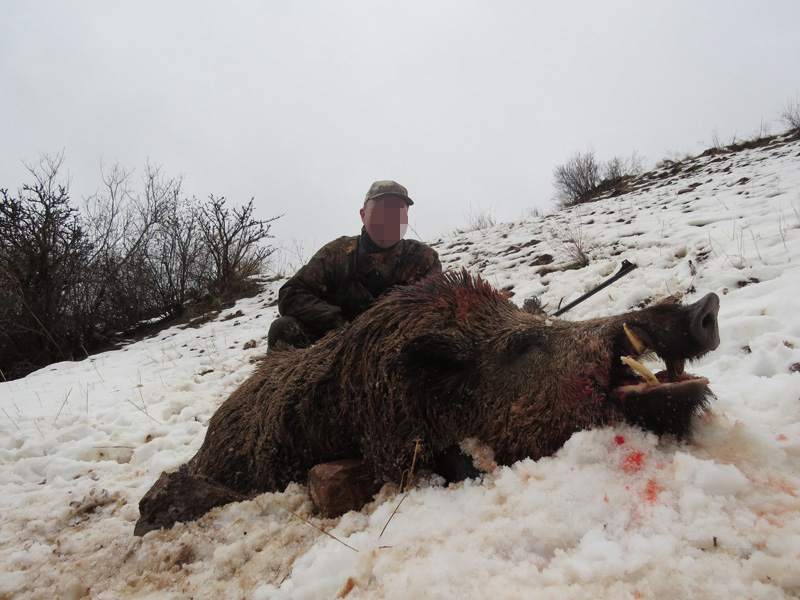 Tádzsikisztán, vaddisznó, vadkan vadászat