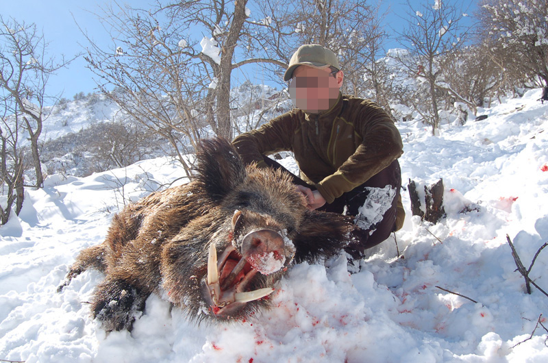 Tádzsikisztán, vaddisznó, vadkan vadászat