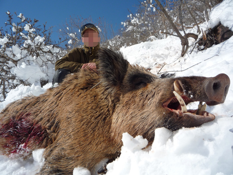 Tádzsikisztán, vaddisznó, vadkan vadászat