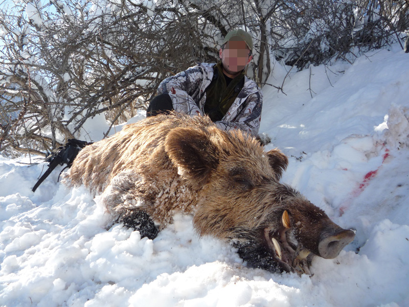 Tádzsikisztán, vaddisznó, vadkan vadászat