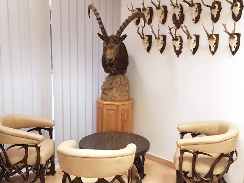 Vadászutak Kft. art&nature