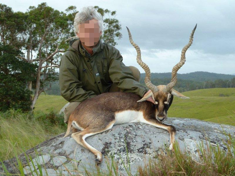 Blackbuck Ausztrália