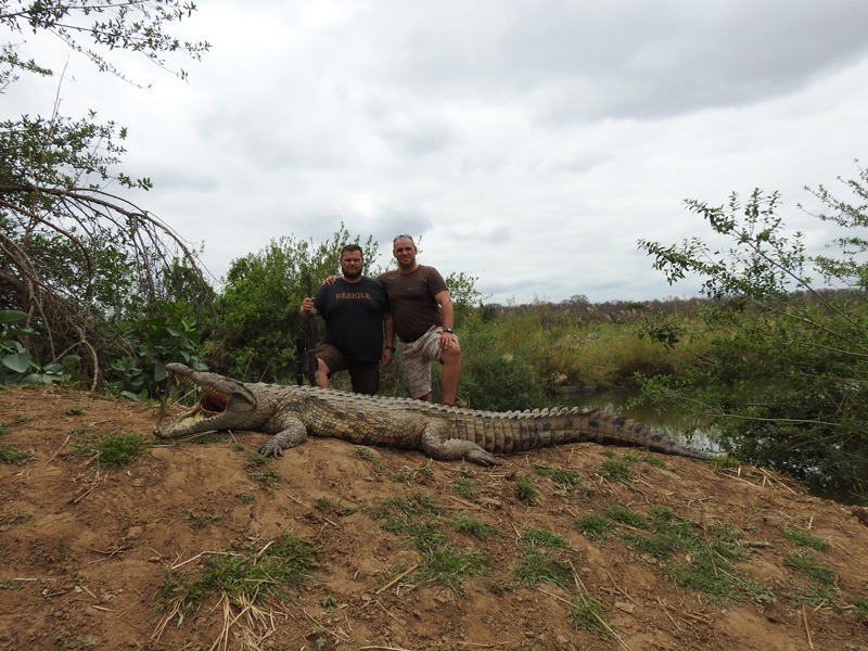krokodil Zimbabwe