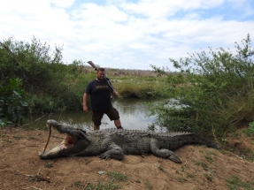 krokodil Zimbabwe