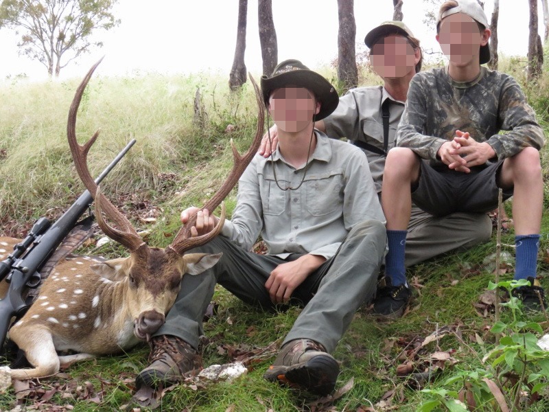 Axis szarvas Ausztrália