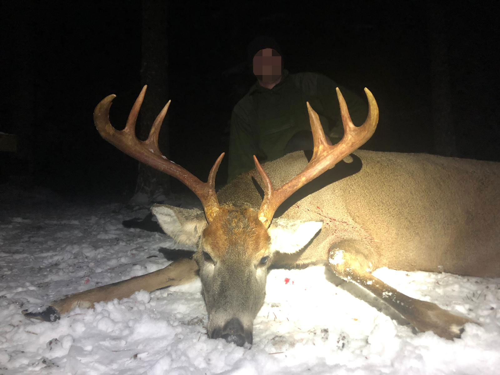 Fehérfarkú szarvas vadászat, Finnország