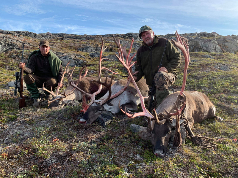 karibu vadászat Grönlandon