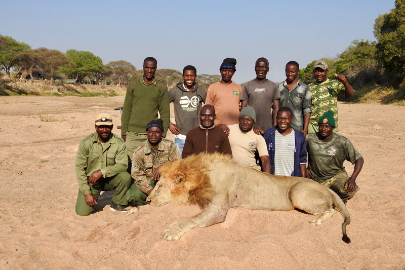 Oroszlán vadászat Tanzániában