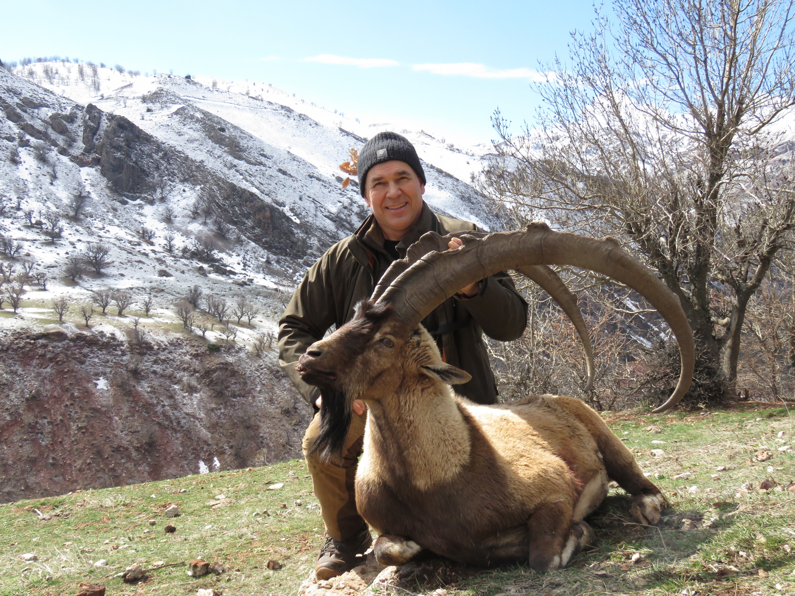 Bezoár kőszáli kecske vadászat Törökországban